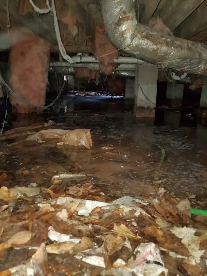 Crawl space flood assessment for Leak Detection & Repair in Placerville