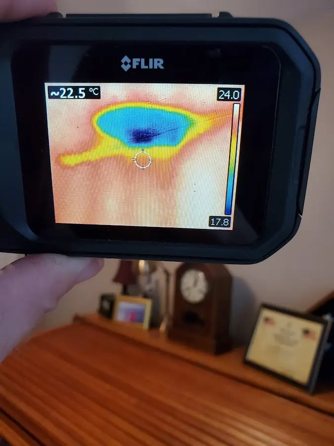 Thermal imaging inspection for water damage in Placerville